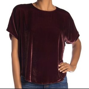 Madewell Velvet Top